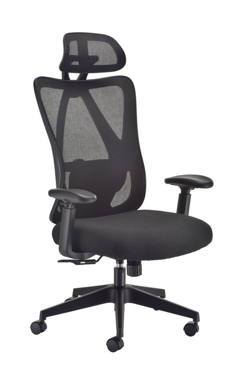 EvoErgo High Back Mesh Office Chair