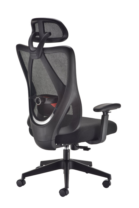 EvoErgo High Back Mesh Office Chair