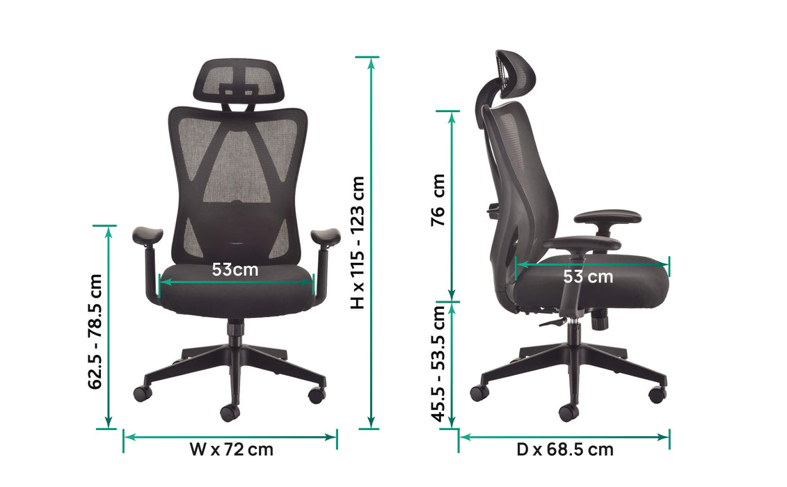 EvoErgo High Back Mesh Office Chair