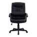 Darwin Bonded Leather Executive Office Chair EXECUTIVE CHAIRS Nautilus Designs 