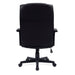 Darwin Bonded Leather Executive Office Chair EXECUTIVE CHAIRS Nautilus Designs 