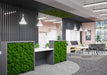 Large Moss Reception Desk Reception Desks Clarke Rendall 