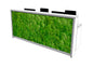 Moss Reception Desk Reception Desks Clarke Rendall 