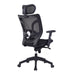 Newton Executive Desk Chair MESH CHAIRS Nautilus Designs 