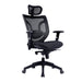 Newton Executive Desk Chair MESH CHAIRS Nautilus Designs 