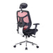 Polaris Ergonomic Mesh Chair MESH CHAIRS Nautilus Designs 