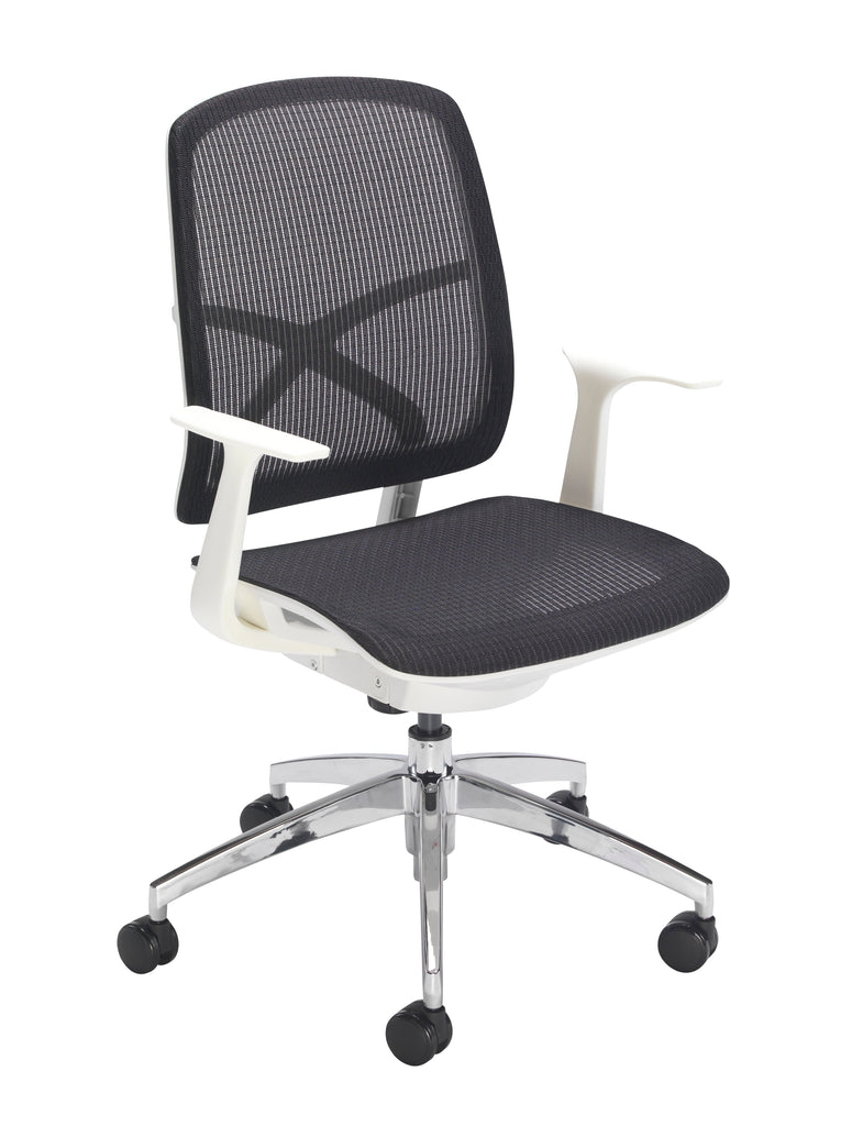 Featherlite chairs price online